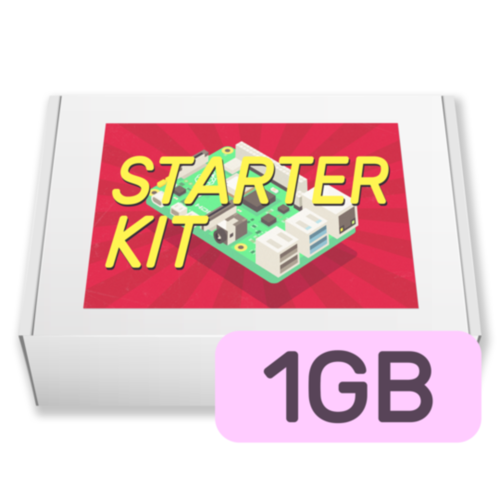 Raspberry Pi Starter Kit (1GB)